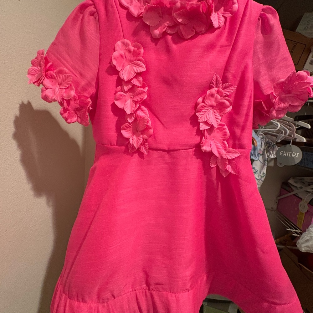 GB girls Hot Pink Floral Applique Dress